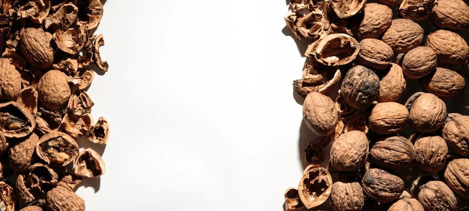 Empty walnut shell frame. Textured nut border with white place background. Bu Stock Photos