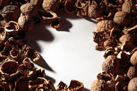 Empty walnut shell frame. Textured nut border with white place background. Bu Foto stock