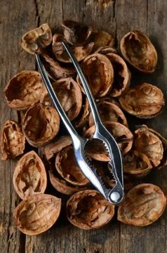 Empty walnut shells Stock Photos