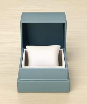 Empty watch box Stock Illustration