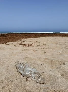 Empty water bottle thrown on the beach Stock Photos