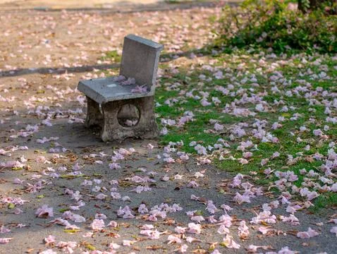 Empty weathered stone bench surrounded by fallen pink flower petals on grou.. Foto stock