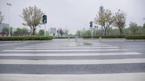 Empty Wet Crosswalk at Urban Intersection with Green Traffic Light 库存影片 335151212