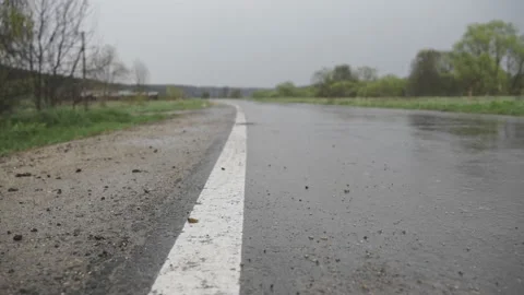 An empty wet road after the rain. Stock Footage 194452466