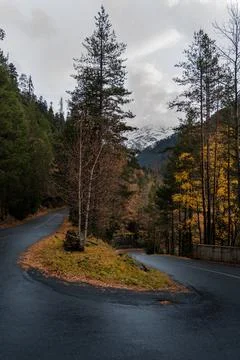Empty wet road through the forest in autumn rainy day Stock Photos