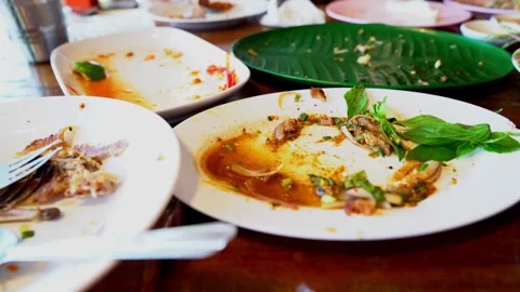 Empty white and green dinner plates with sauce stains and food scraps after.. Stock Footage 336700559