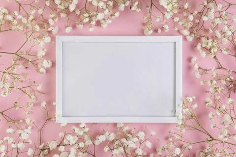Empty white blank frame surrounded with white baby s breath flowers against Stock Photos