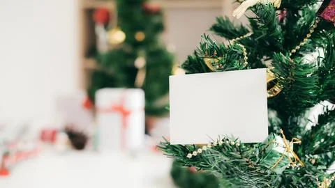 Empty white card on Christmas tree. 写真素材