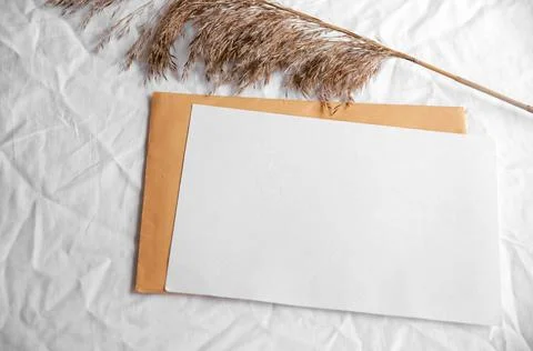Empty white card with envelope, pampas grass Stock Photos