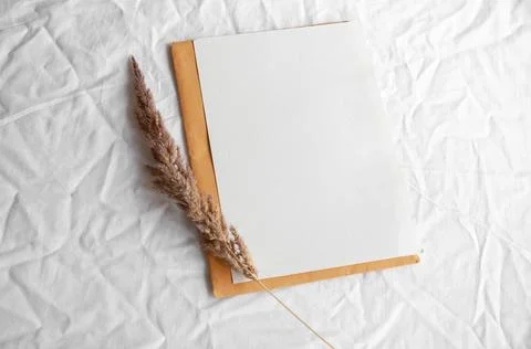 Empty white card with envelope, pampas grass Stock Photos
