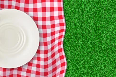 Empty white ceramic plate, red checkered tablecloth or plaid on green grass. Stock Illustration