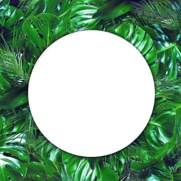 Empty white circle shape on dark green tropical background Stock Photos