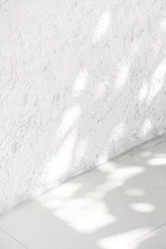 Empty white corner with tropical leaf shadow Stock Photos