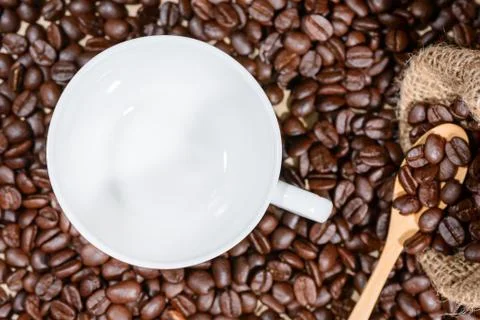 Empty white cup with coffee beans background. Stock Photos