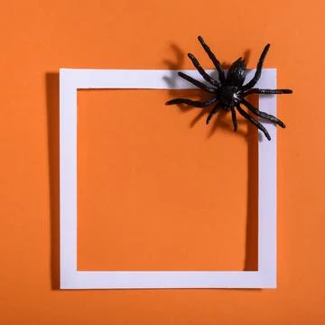 Empty white frame with scary black spider on orange paper. Halloween backgr.. Stock-Fotos