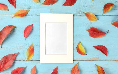 Empty white frame surrounded by rusty leaves on a blue timber board Stock Photos