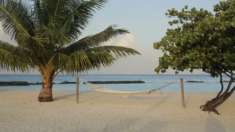 Empty white hammock near the palm tree on the beach against the sea Stock Footage 102574045