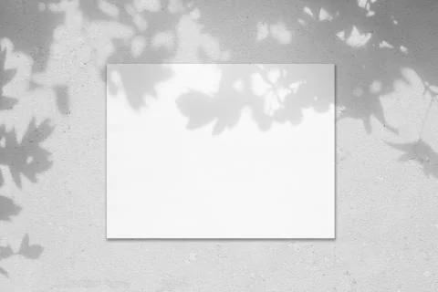 Empty white horizontal rectangle poster mockup with leaves shadows Stock Photos