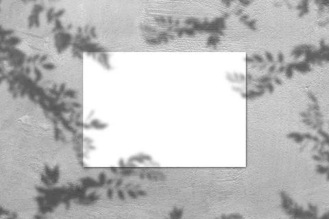 Empty white horizontal rectangular poster mockup with light shadow on gray co Stock Photos
