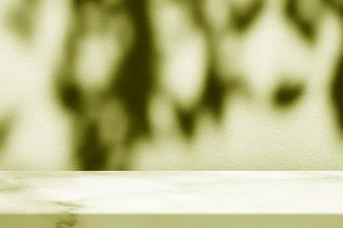 Empty white marble table top with abstract leaf shadow Stock Photos