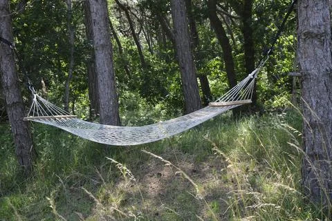 Empty white net hammock hanging between garden trees Stock Photos