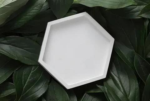 Empty white octagonal plate on green leaves background 스톡 사진