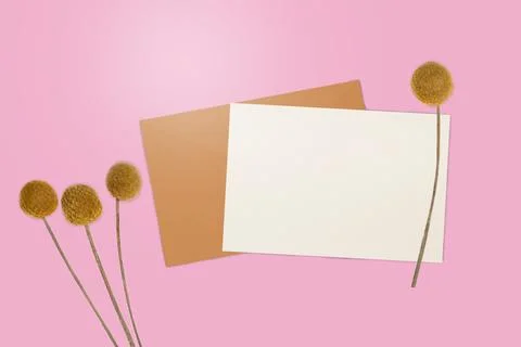 Empty white paper for copy space with flowers on colored background Stock Photos