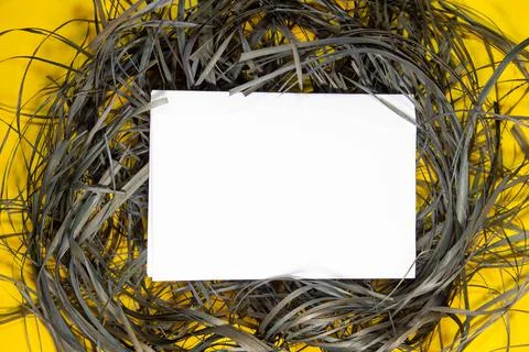 Empty white paper sheet isolated on yellow background. Style. Stock Photos