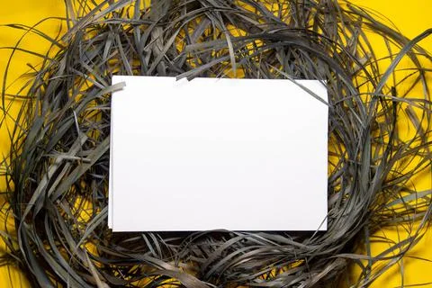 Empty white paper sheet isolated on yellow background. Style. Stock Photos