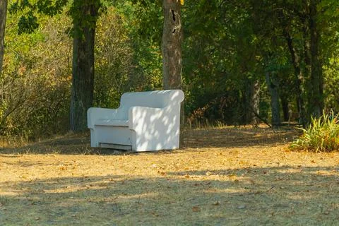 Empty white park bench under trees on dry autumn grass in quiet woodland pu.. Фото