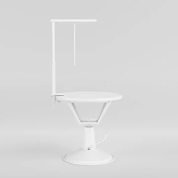 Empty White Professional Pet Grooming Table with Non-Slip Surface in Clay S.. Stock Illustration