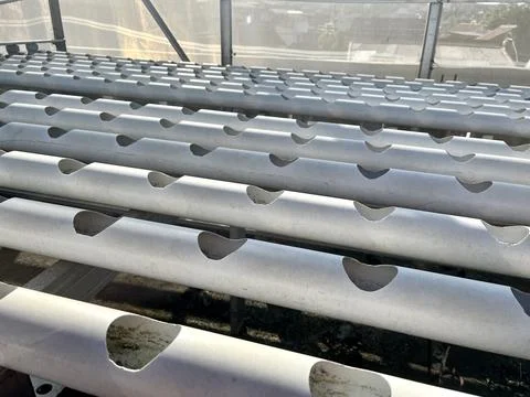 Empty White PVC Pipes Hydroponic Growing System Setup Stock Photos