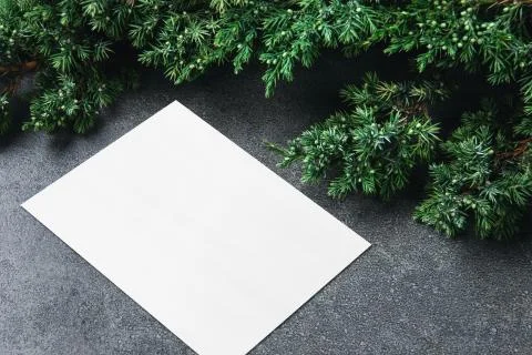 Empty white rectangle poster or card mockup with border of fluffy green fir b Stock Photos