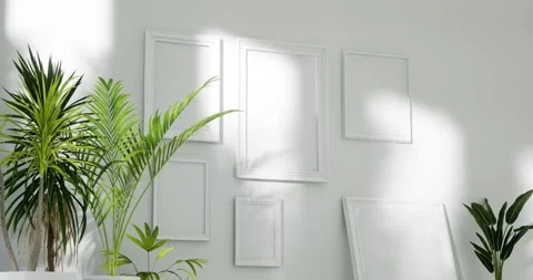 Empty white room interior with classic picture frames, tropical home plants on t Stock Footage 201493254