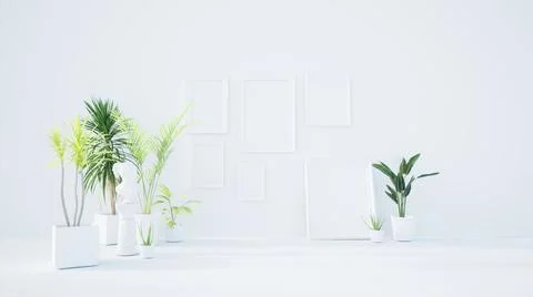 Empty white room interior with classic picture frames, tropical home plants o Foto stock