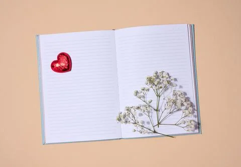 Empty white sheet of paper and gypsophila flowers, space for an inscription 스톡 사진
