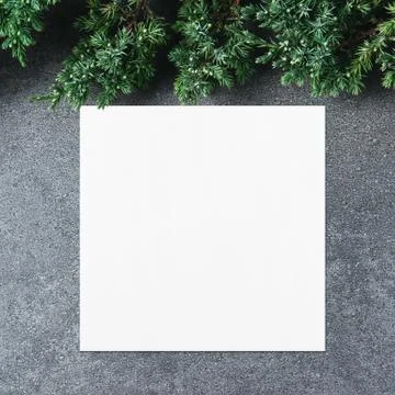 Empty white square poster or card mockup with border of fluffy green fir bran Stock Photos