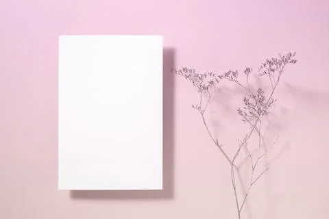 Empty white square poster or card mockup with dried grass decoration on lig.. Stock Photos