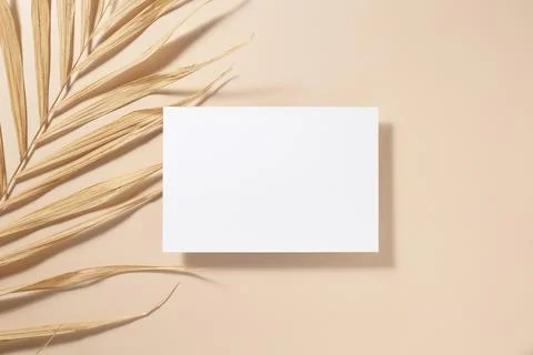 Empty white square poster or card mockup with palm leaves on beige background Stock Photos