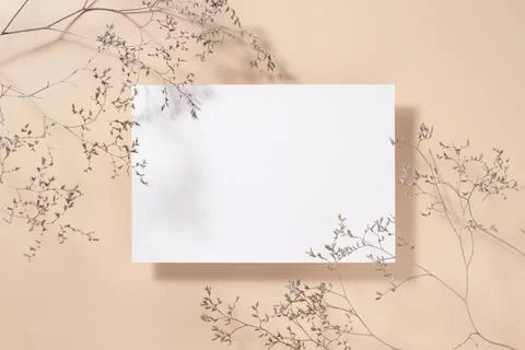 Empty white square poster or card mockup with dried grass decoration on bei.. Stock Photos
