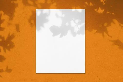 Empty white vertical rectangle poster mockup with leaves shadows Stock Illustration