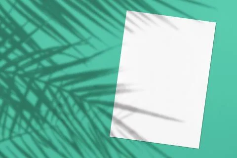 Empty white vertical rectangle poster or card mockup with palm leaves shadows Stock Photos