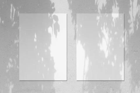 Empty white vertical rectangle poster mockup with soft leaves shadows Stock Photos