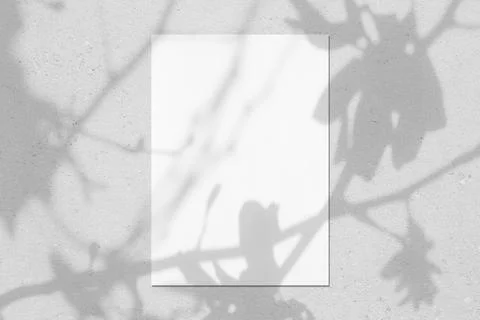 Empty white vertical rectangle poster mockup with leaves and flowers shadows Stock Photos