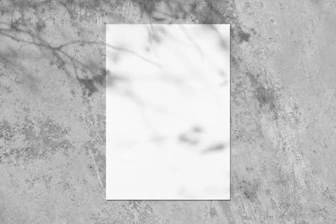 Empty white vertical rectangle poster mockup with soft tree leaves shadow Stock Photos