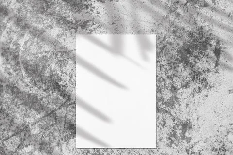 Empty white vertical rectangle poster mockups with soft palm leaves shadow Stock Photos