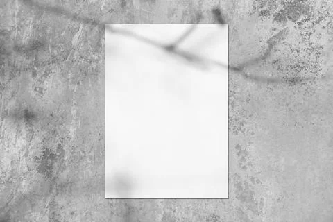 Empty white vertical rectangle poster mockup with soft tree leaves shadow Stock Photos