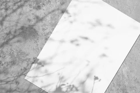 Empty white vertical rectangle poster mockup with soft tree leaves shadow Stock Photos