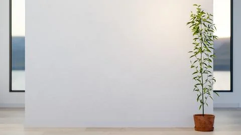 Empty white wall and green potted plant on wooden parquet floor across glas.. Stock Illustration