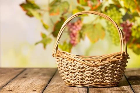 Empty wicker basket on rustic wooden table with grape leaves behind for aut.. Fotos Stock
